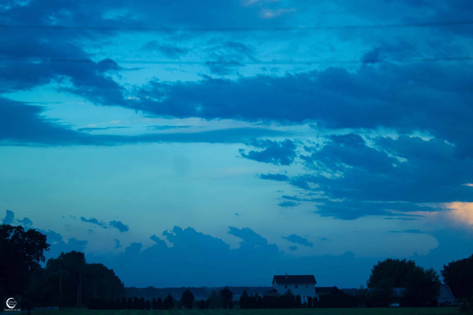 Nature photograph 03