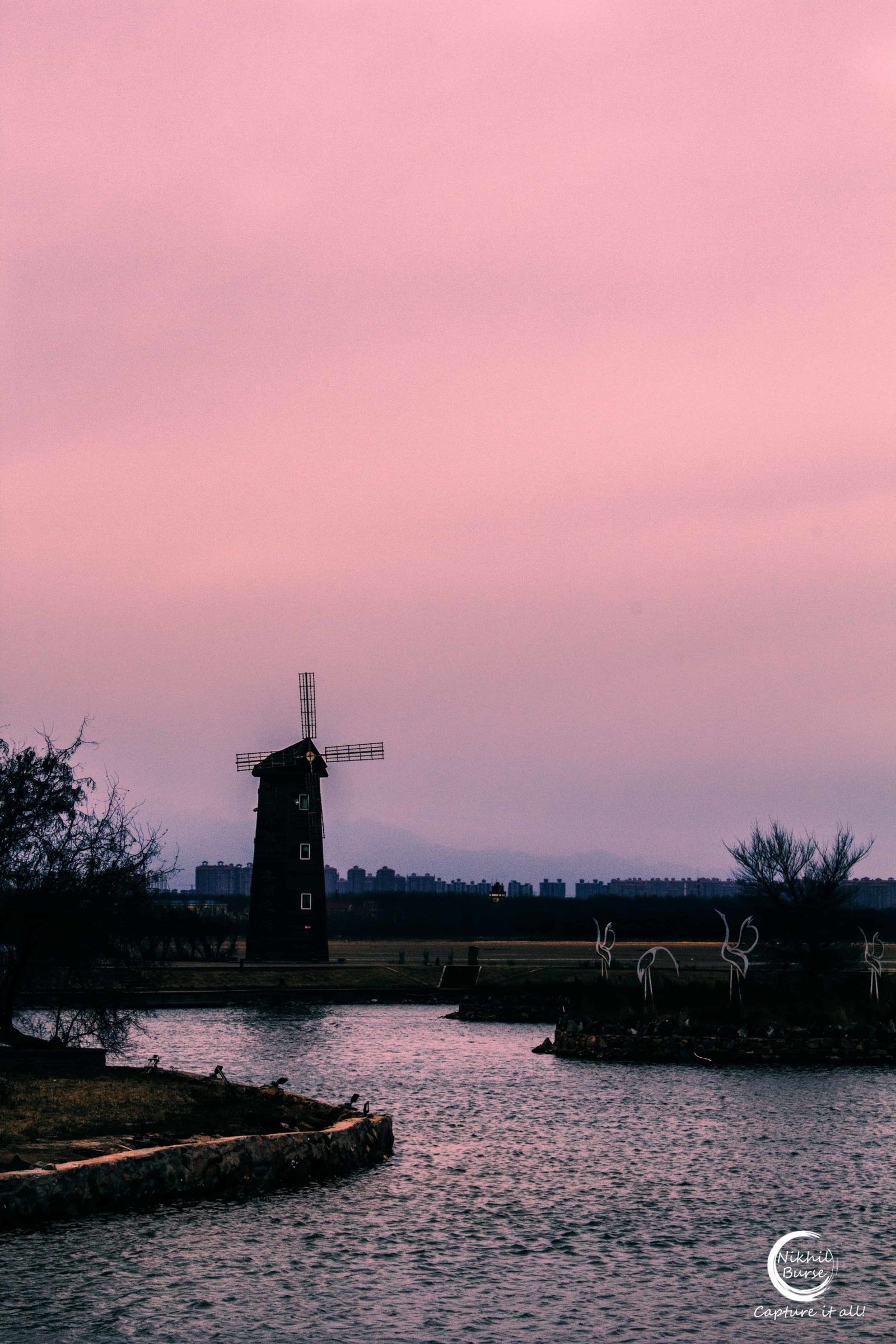 Nature photograph 17