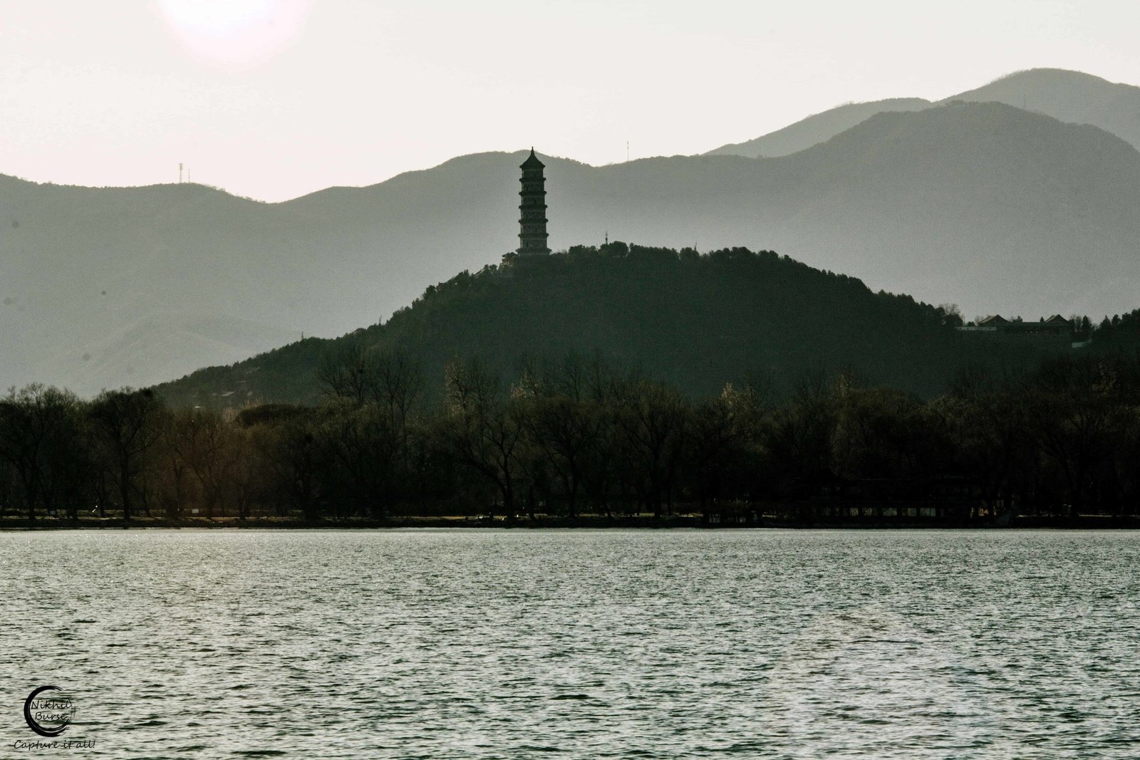 Nature photograph 18
