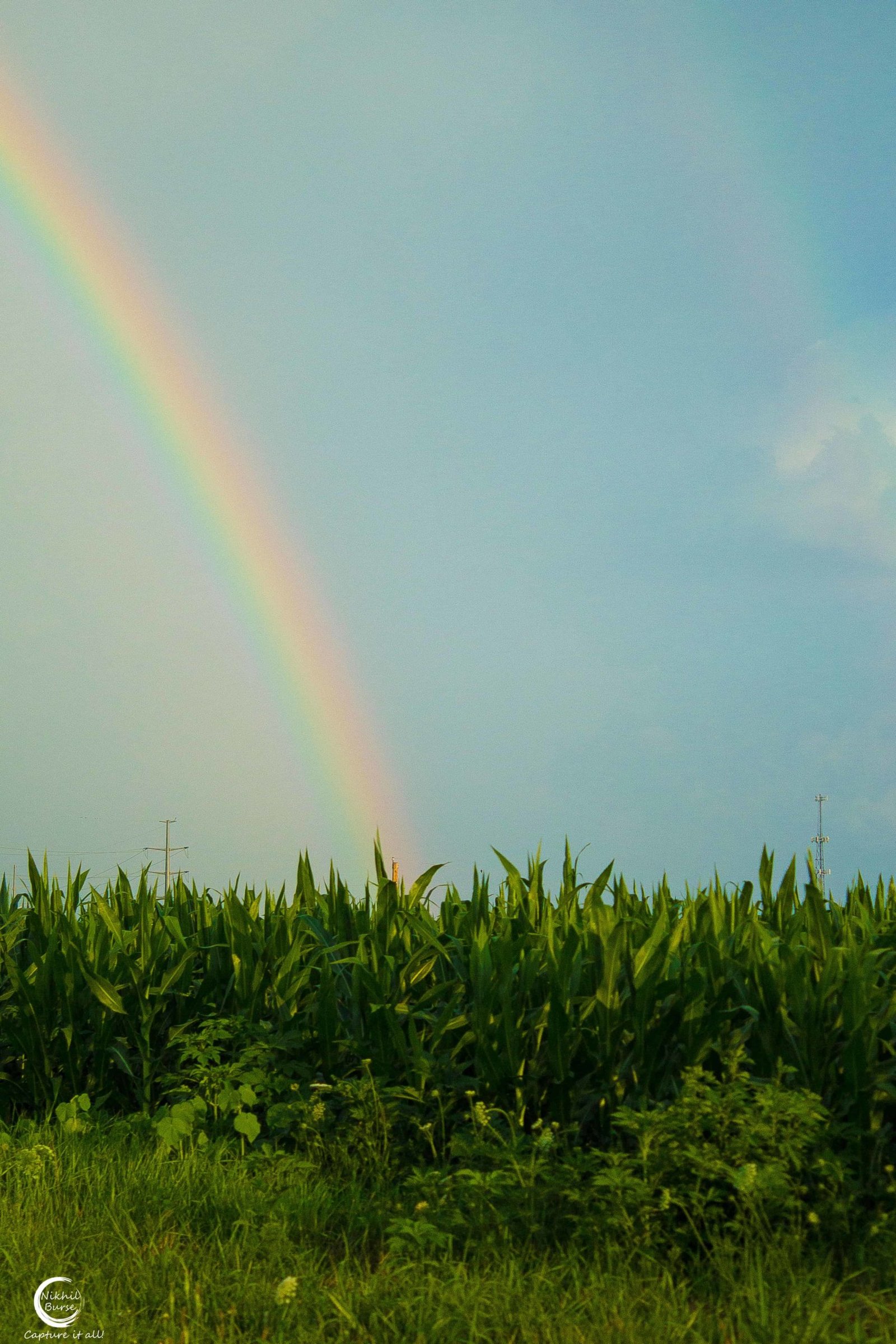 Nature photograph 14