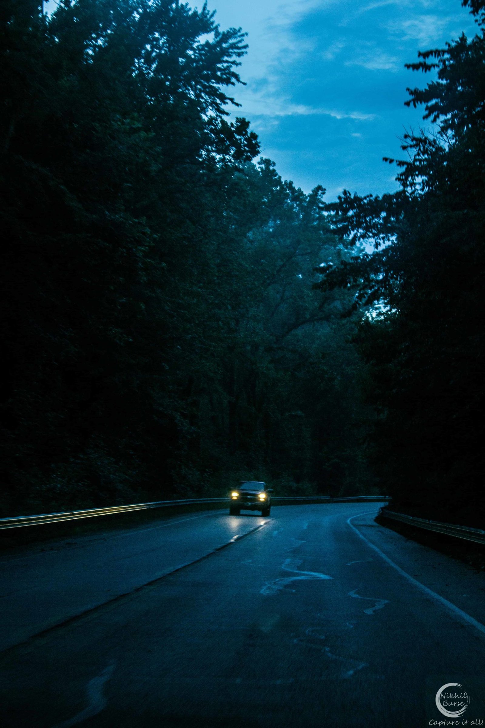 Nature photograph 11
